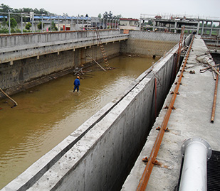 彭州草莓视频在线观看色厂