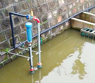 厦门筼筜草莓视频在线观看色厂