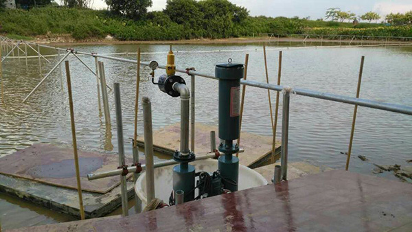 苏州水下草莓视频官网