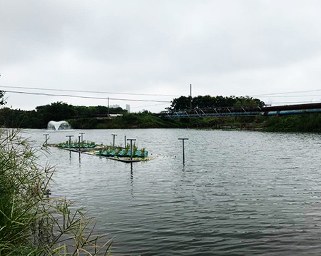 未标题-草莓色视频网站草莓色视频网站沉水式草莓视频官网使用方便噪音小！