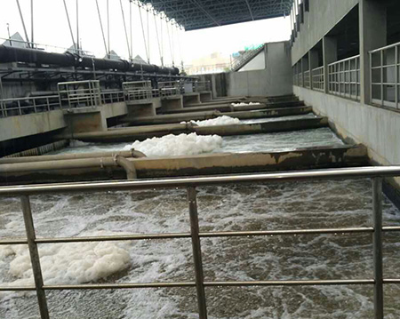 罗茨草莓视频官网不仅质量好售后更有保障！