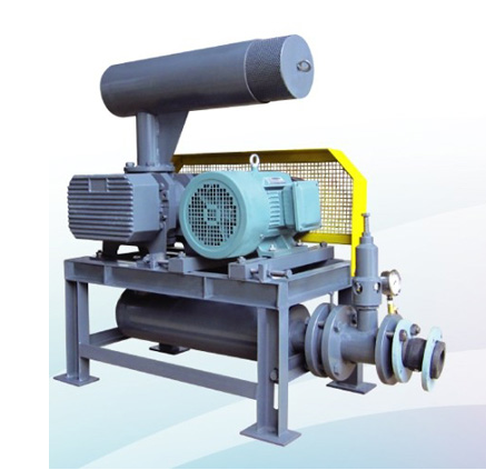 三叶罗茨鼓草莓视频官网-无线 三叶罗茨鼓草莓视频官网-无线