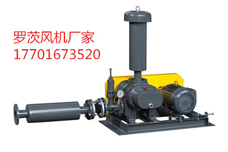 罗茨鼓草莓视频官网参数 罗茨鼓草莓视频官网参数