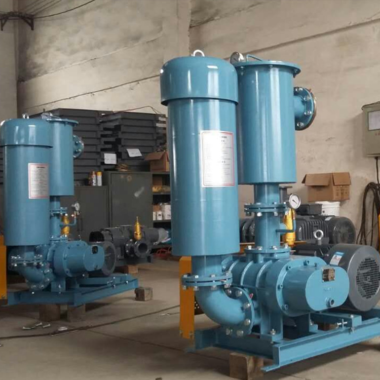 罗茨鼓草莓视频官网 750乘750 图10