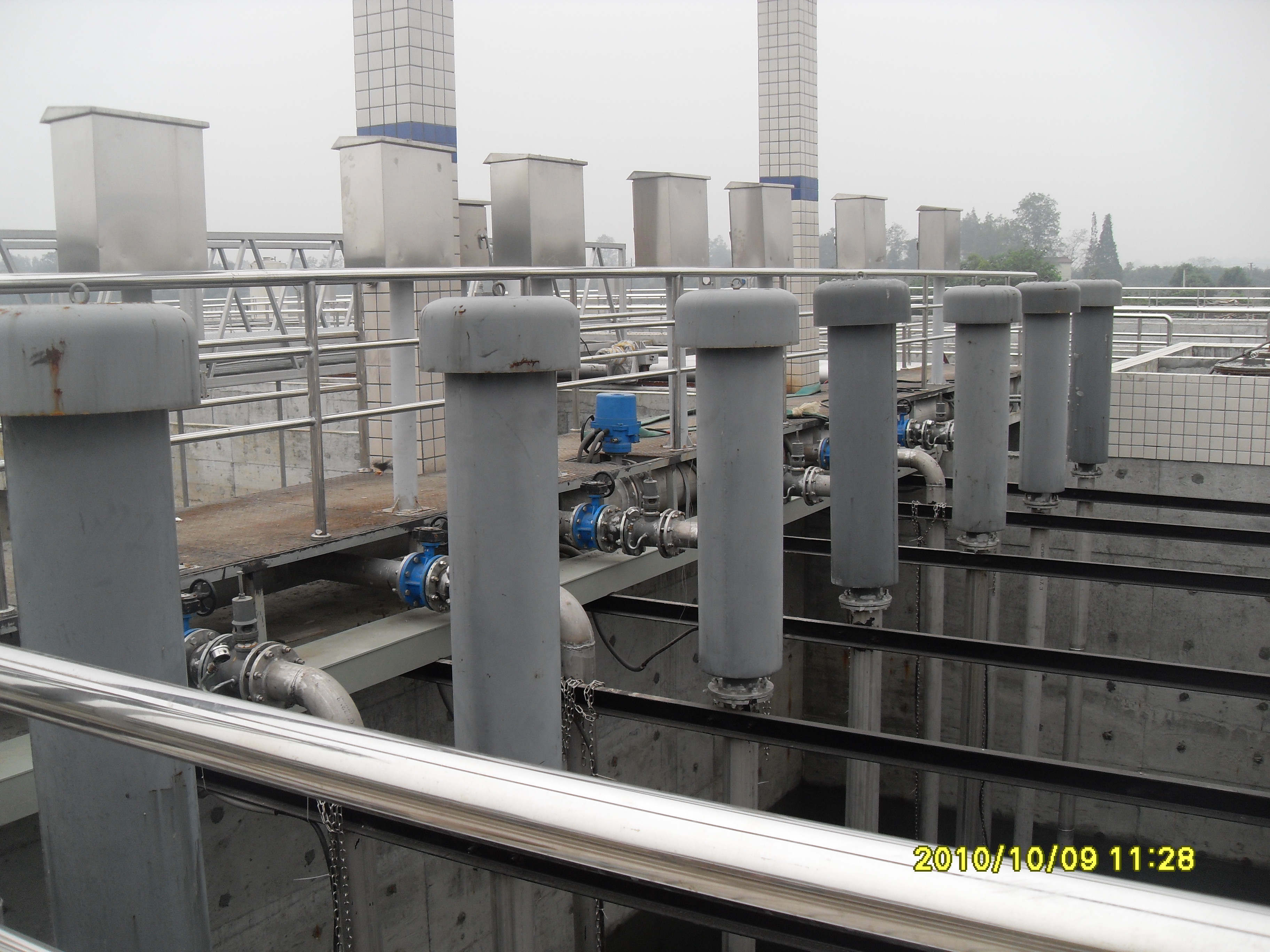 彭州草莓视频在线观看色厂