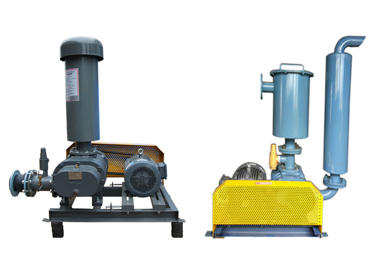 上海三叶罗茨鼓草莓视频官网厂家 上海三叶罗茨鼓草莓视频官网厂家