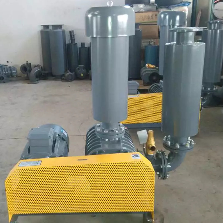 罗茨鼓草莓视频官网 750乘750 图3