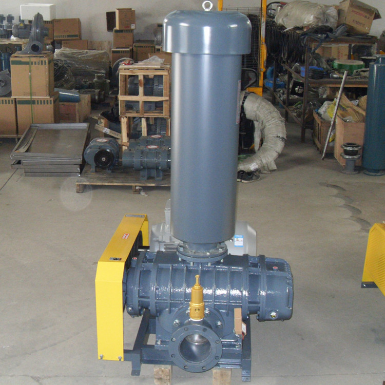 罗茨鼓草莓视频官网 750乘750 图4