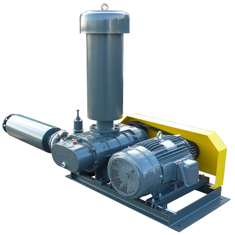 罗茨鼓草莓视频官网 750乘750 图7