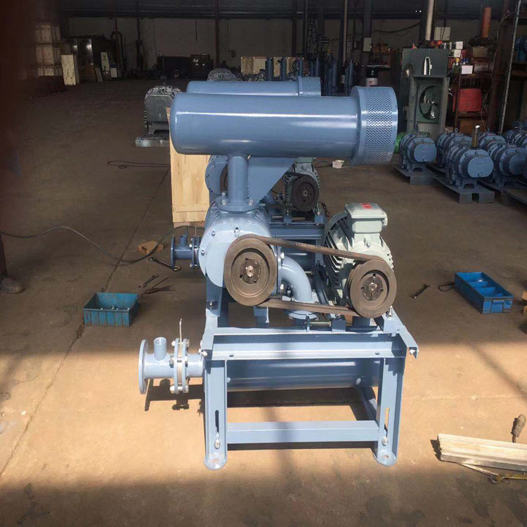 损坏罗茨鼓草莓视频官网齿轮减速器的原因有哪些？