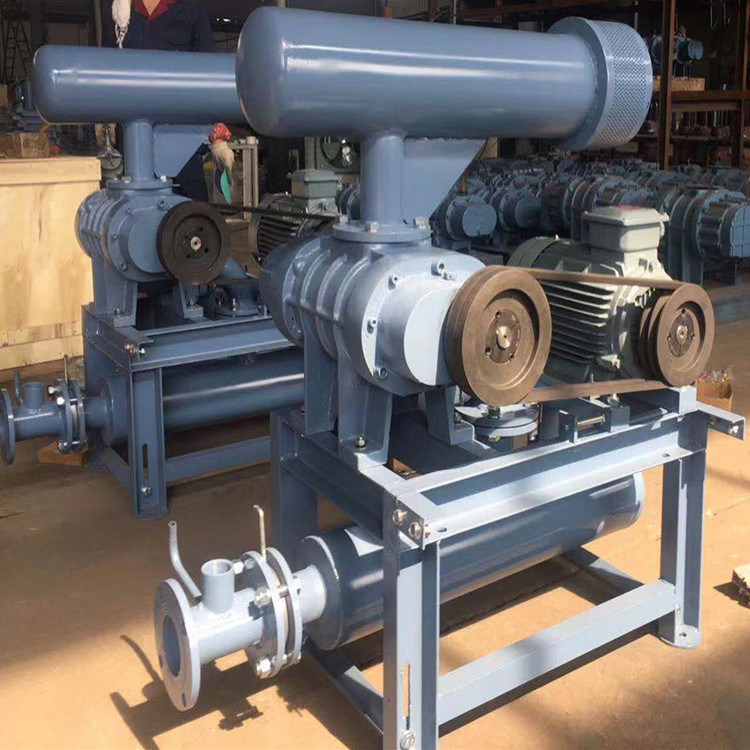 罗茨鼓草莓视频官网 750乘750 图18