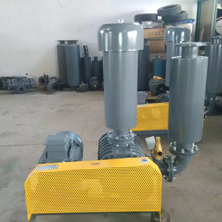 罗茨鼓草莓视频官网