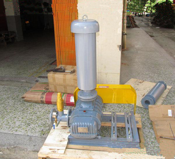 罗茨草莓视频官网