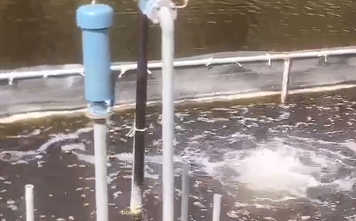 沉水鼓草莓视频官网进气口 – 你所不知道的事情