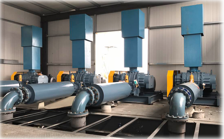 罗茨草莓视频官网启动步骤