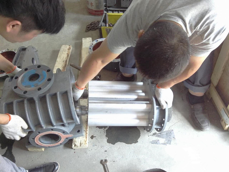 三叶罗茨鼓草莓视频官网维修厂家