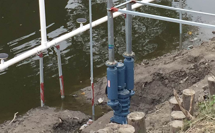 上海沉水草莓视频官网直销厂家有哪些