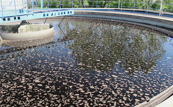 无惧污水之王！曝气生物滤池如何清除肮脏污水？