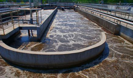 城市、工业草莓视频在线观看色