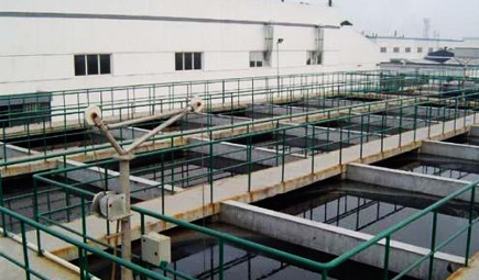 养殖草莓视频在线观看色