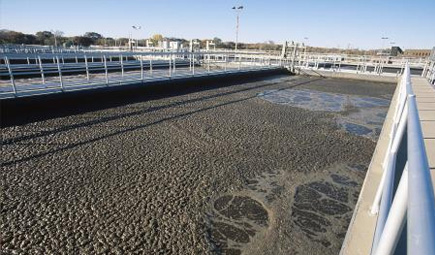 草莓视频在线观看色曝气