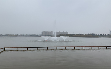 草莓色视频网站沉水罗茨草莓视频官网在曝气系统中的优势