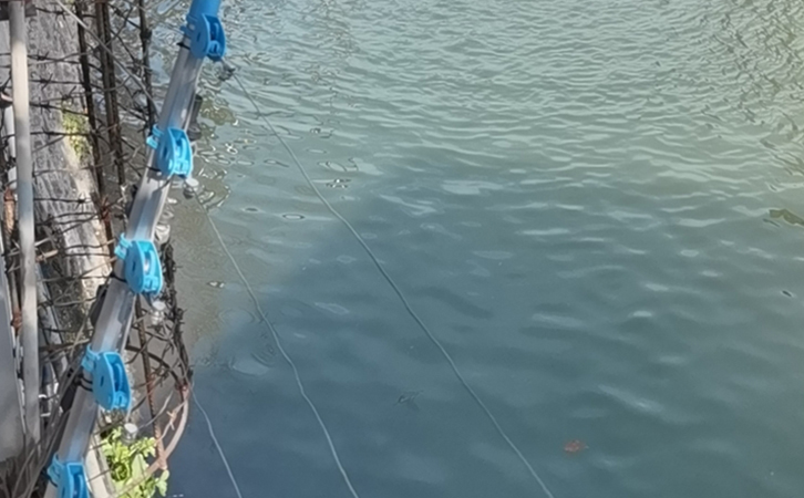 “秋老虎”天气曝气草莓视频官网不出气怎么办